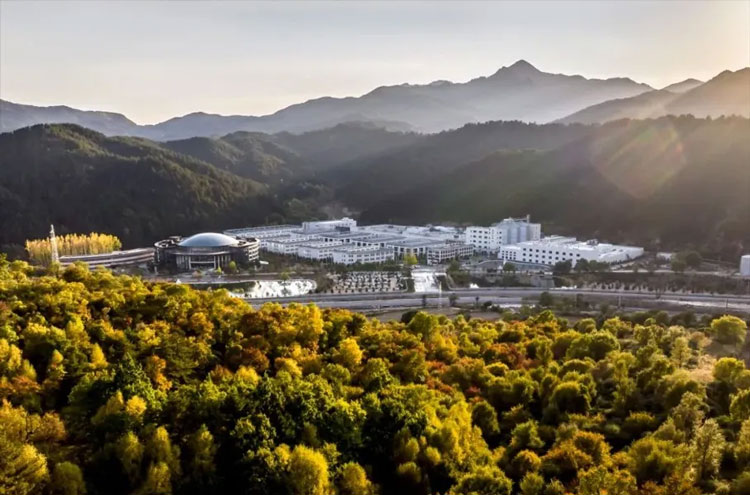 1734682870616747.jpg 2-2.jpg